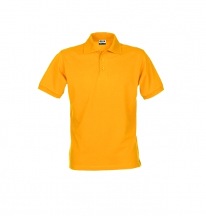 Classic Polo Junior cover image